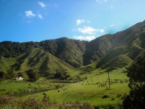 Bergen van Bay of Plenty