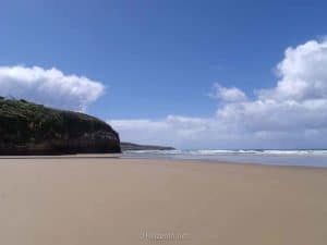Stranden van Otago Nieuw-Zeeland