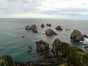 Rosten van Nieuw-Zeeland