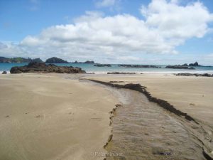 Strand Northland Nieuw-Zeeland