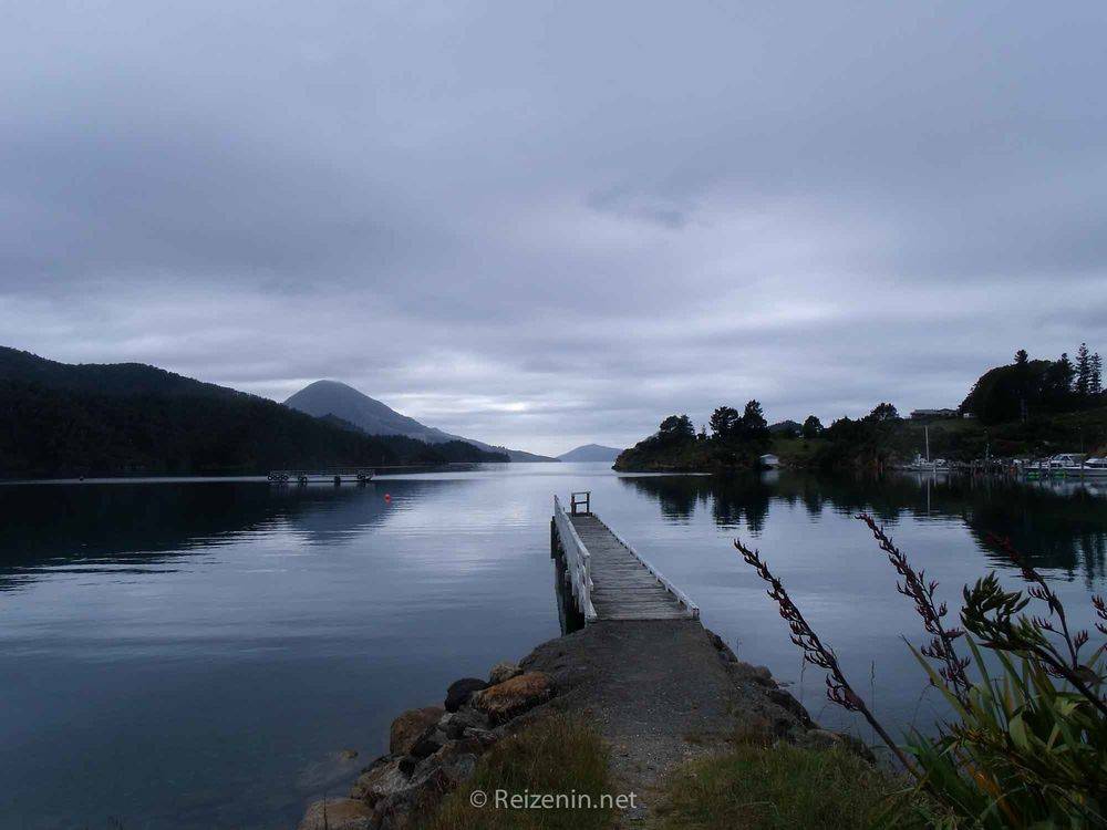 Marlborough sounds fjord