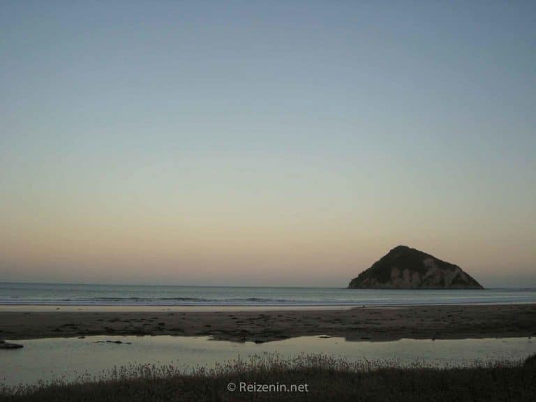 Noordereiland East Coast