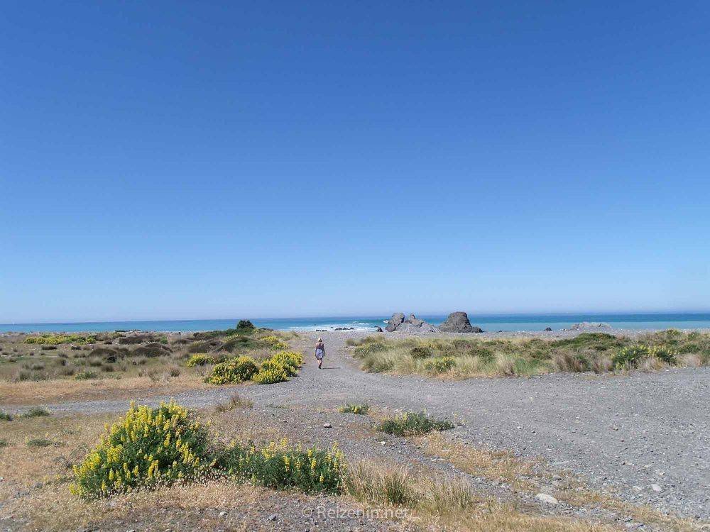 Strand buiten Wellington Nieuw-Zeeland