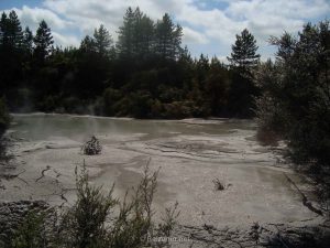 Mud pools Taupo