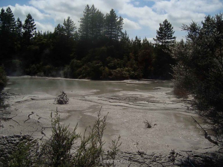Mud pools Taupo