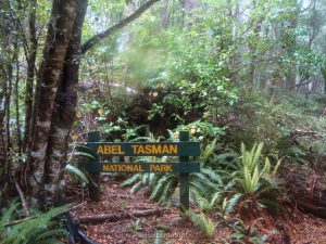 Nationaal park Abel Tasman