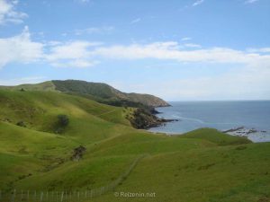 Grasland Nieuw-Zeeland