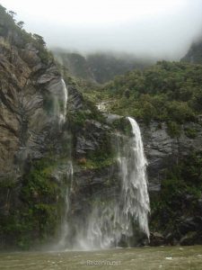 Milford Sound cruise
