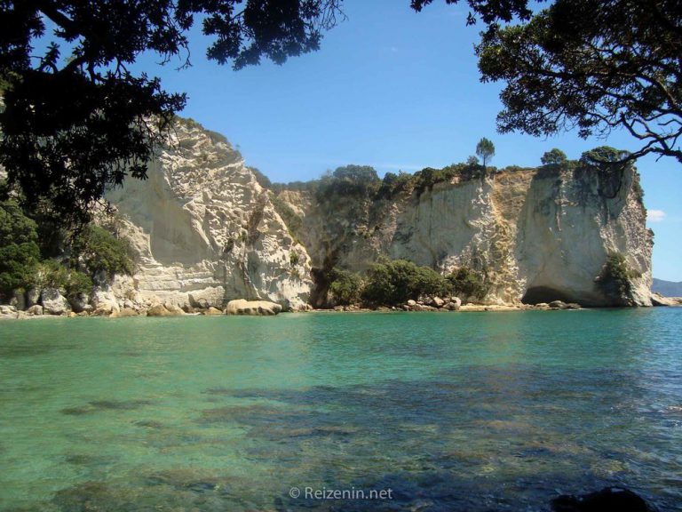Coromandel Stingray Bay