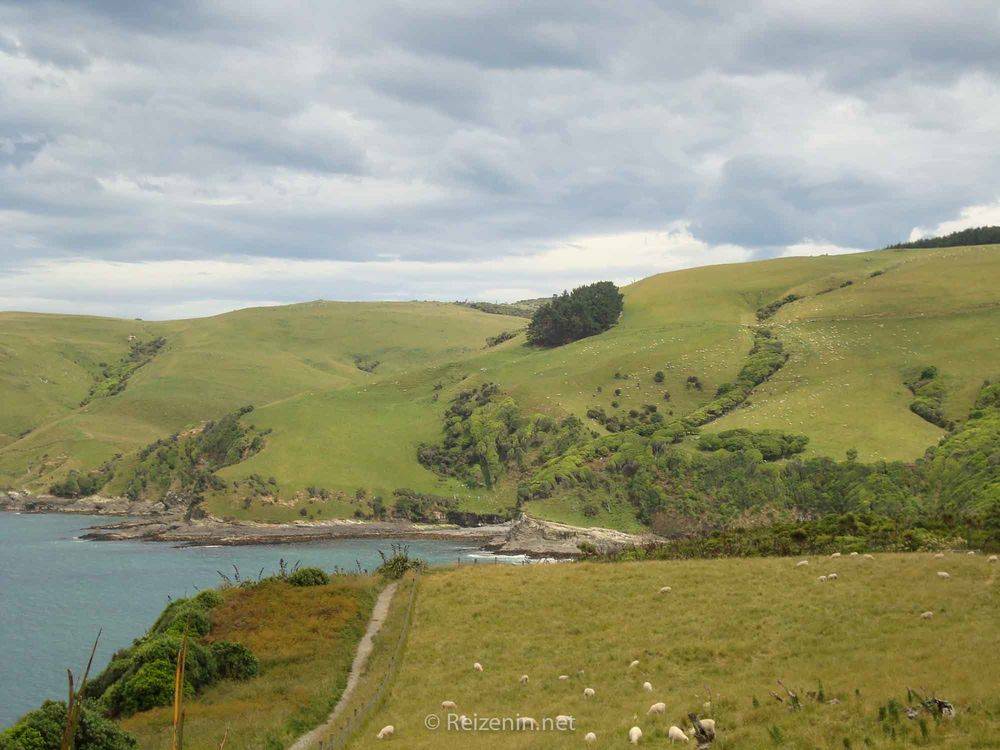 Otago Nieuw-Zeeland