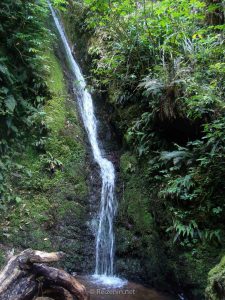 Waterval Canterbury Nieuw-Zeeland