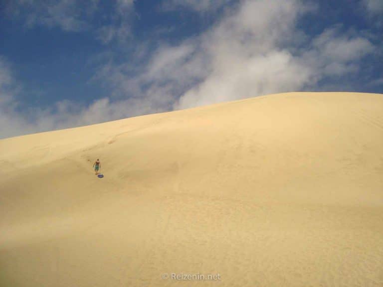 Zandduinen Noordereiland Nieuw-Zeeland