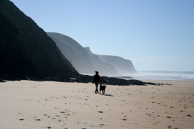 hond mee naar portugal