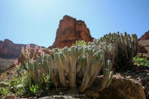 reisroute marokko binnenland