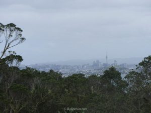 auckland hoogtepunten