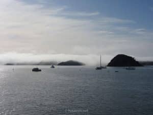 bay of islands tour doen of niet doen