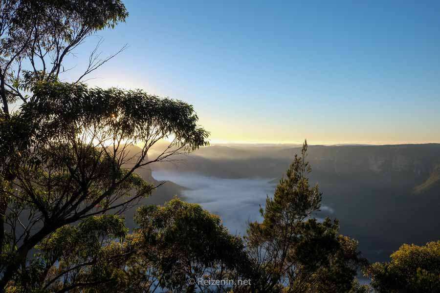 Blue Mountains Australië