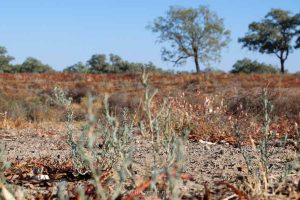 australie klimaat en beste reis tijd