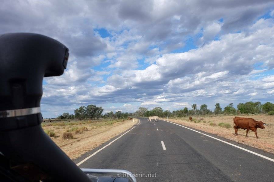 Autorijden in Australië