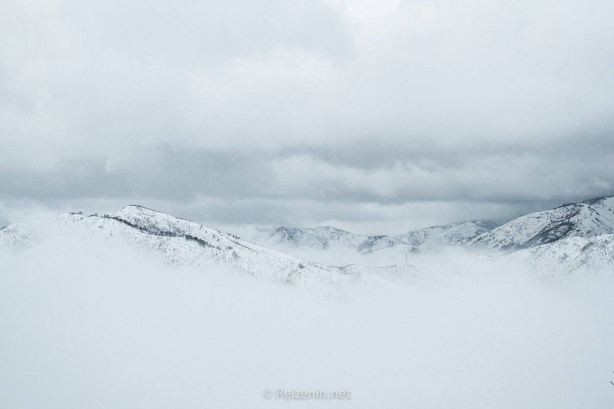 Over Albanie