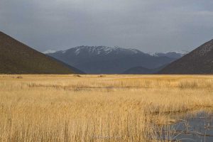 Unieke regios van albanie