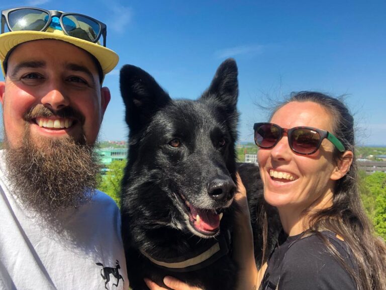 Reizen met hond in camper