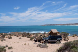 Alles over Australie