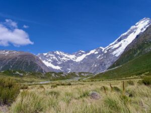 reizen in nieuw-zeeland