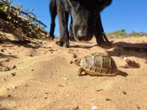 marokko reis informatie