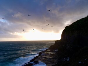 Handige reis tips nieuw-zeeland