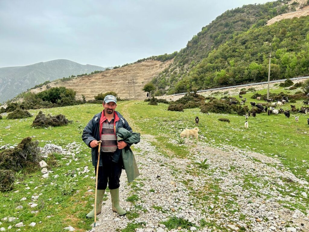 Geitenherder in Albanië