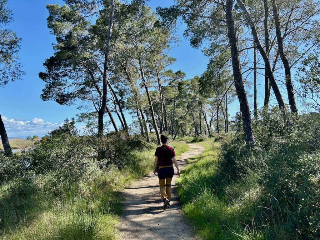 hiken in Divjaka-Karavasta nationaal park