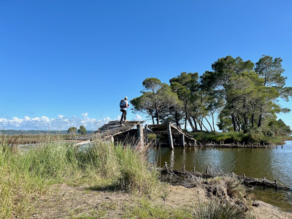 Divjaka-Karavasta nationaal park Albanië