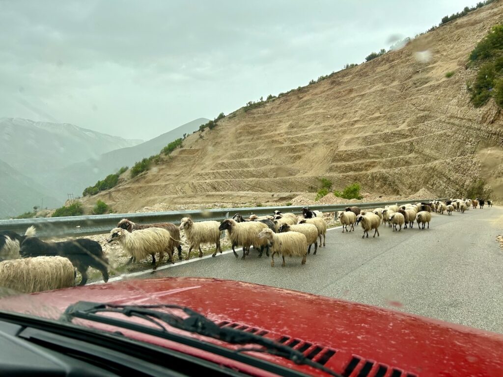 Opletten tijdens het autorijden in Albanië