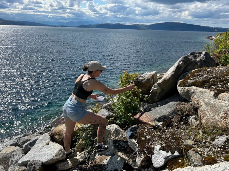 onderweg bessen plukken