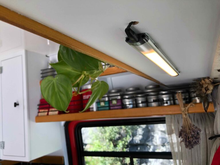 kruiden in de camper