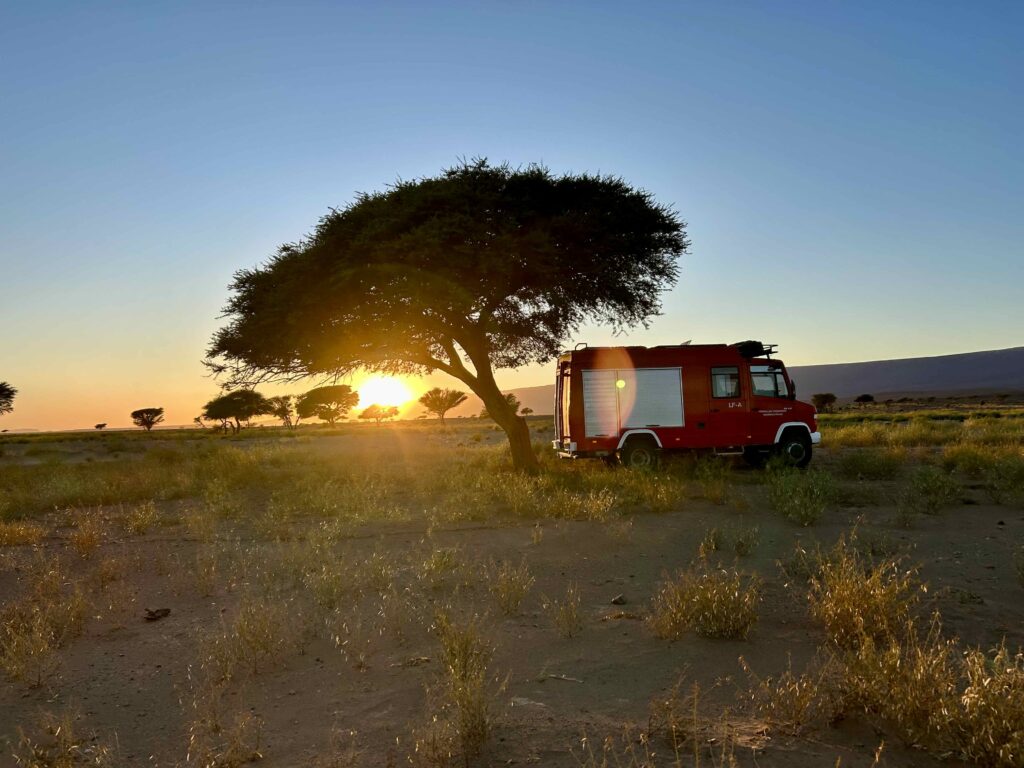 Wildkamperen Marokko