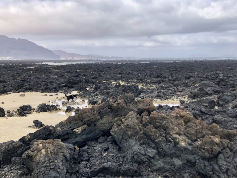 Lanzarote tips Playa del Caleton Blanco