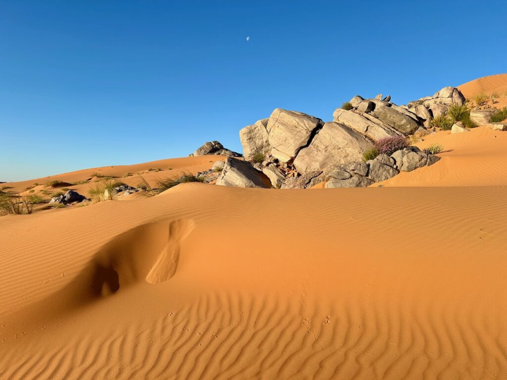 zandduinen omgeving erg chebbi
